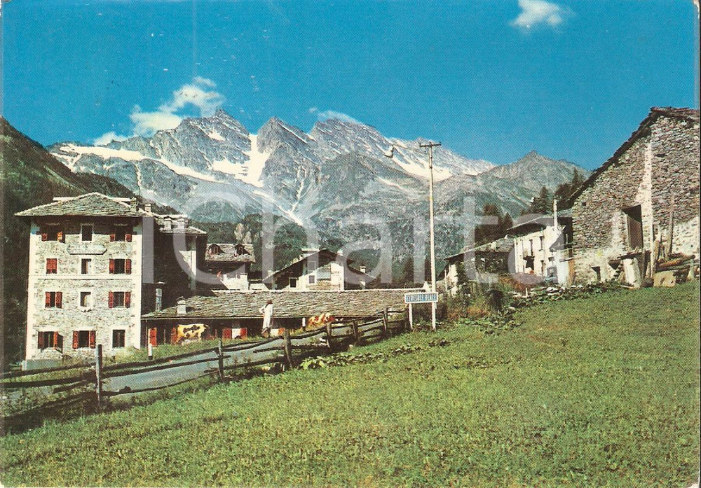 Cartolina originale da collezione 1968 CERESOLE REALE (TO) Mucche al pascolo davanti agli alberghi Cartolina FG VG 1