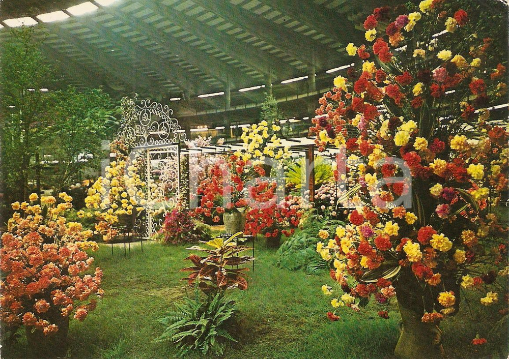 Cartolina originale da collezione 1971 GENOVA Fiera EUROFLORA Allestimento floreale con pergolato Cartolina FG NV 1