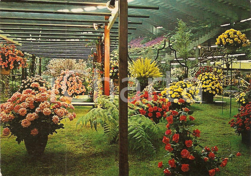 Cartolina originale da collezione 1971 GENOVA Fiera EUROFLORA Allestimento floreale con pergolato Cartolina FG NV 1