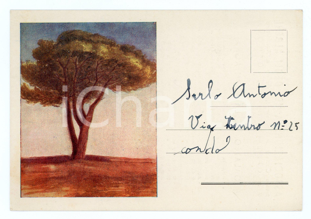 Cartolina originale da collezione 1960 ca GENOVA Associazione AMICI DEGLI ALBERI Galateo della Montagna ILLUSTRATA 1