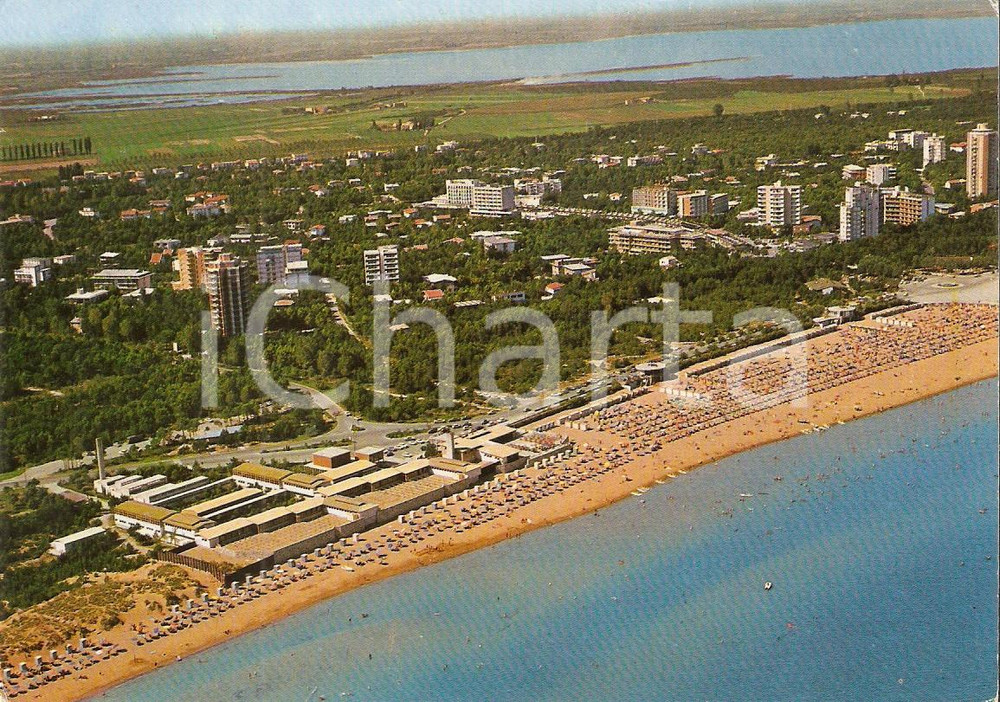 Cartolina originale da collezione 1974 LIGNANO SABBIADORO (UD) Panorama con pineta *Cartolina FG VG 1