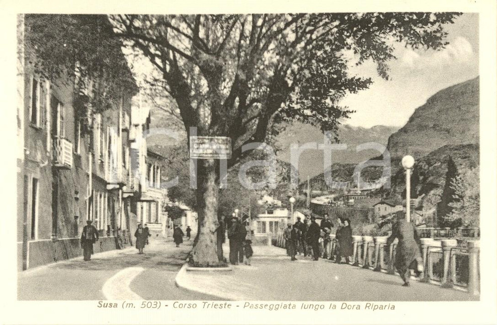 Cartolina originale da collezione 1943 SUSA TO Passanti lungo la DORA RIPARIA in corso TRIESTE ANIMATA FP NV 1