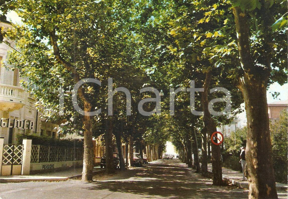 Cartolina originale da collezione 1971 LIDO DI CAMAIORE (LU) Viale del Secco *Cartolina FG VG 1