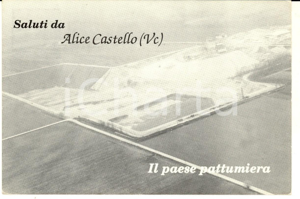 Cartolina originale da collezione 1990 ca ALICE CASTELLO (VC) Il paese pattumiera *Cartolina partito MSI FG 1
