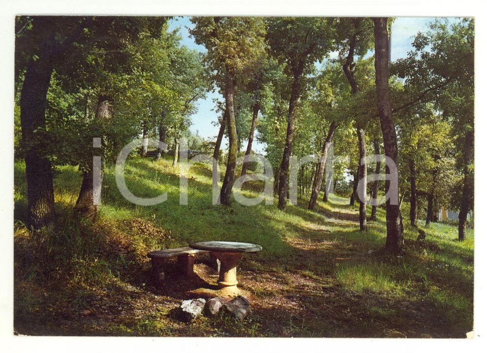 Cartolina originale da collezione 1966 MONTECATINI TERME PT Grand Hotel PARK REGINA Parco privato *Cartolina FG VG 1