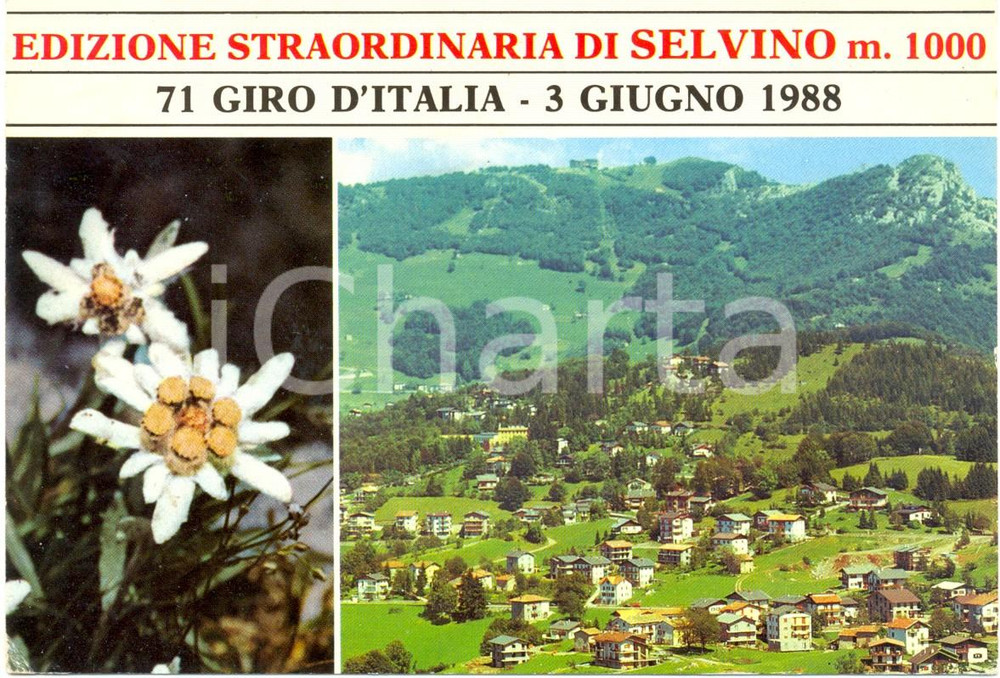 Cartolina originale da collezione 1988 SELVINO BG 71° Giro d Italia panorama Cartolina pubblicitario VINTAGE FG 1