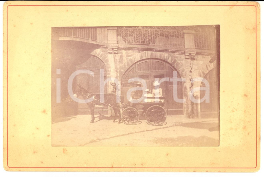 Fotografia d epoca originale 1880 ca AREA LOMBARDA Bambino cocchiere guida calesse con asino Fotografia 1