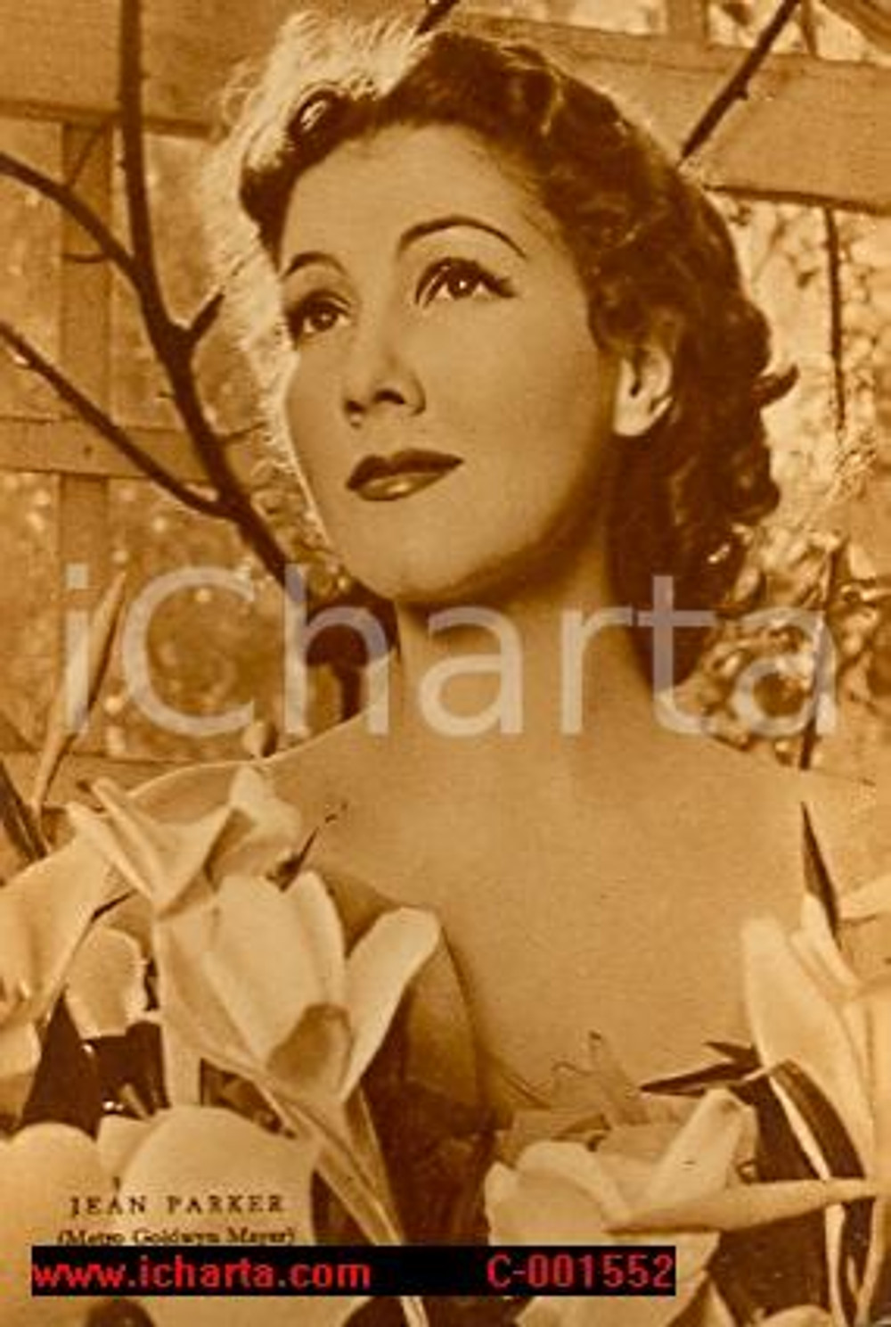 Cartolina originale da collezione 1938 JEAN PARKER Fotografia seriale RIZZOLI FG NV 1