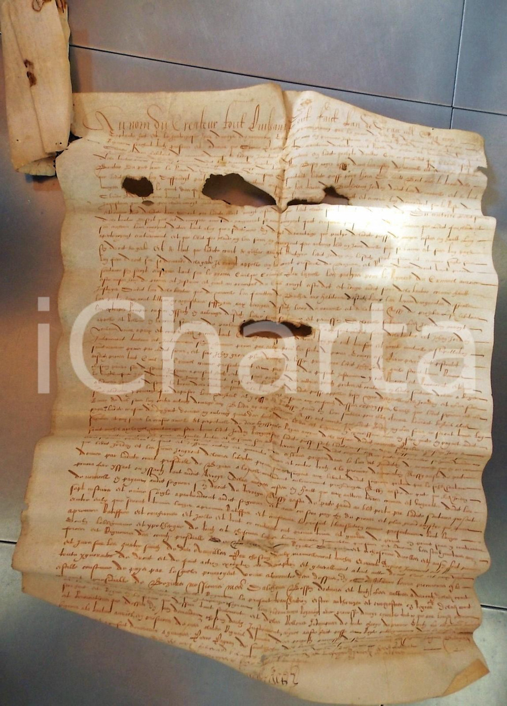 Documento originale, autentico 1572 BAUME AURIOL Atto per François de BONAIL, signore de la BAULME Pergamena 1