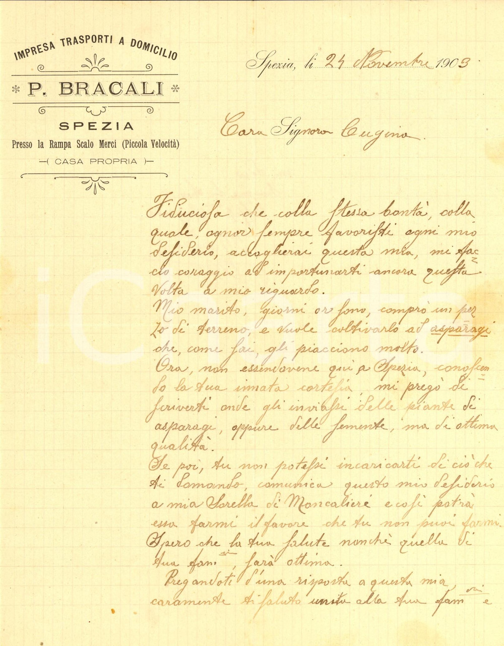Documento originale, autentico 1903 LA SPEZIA P. BRACALI trasporti a domicilio  Coltivazione di asparagi 1