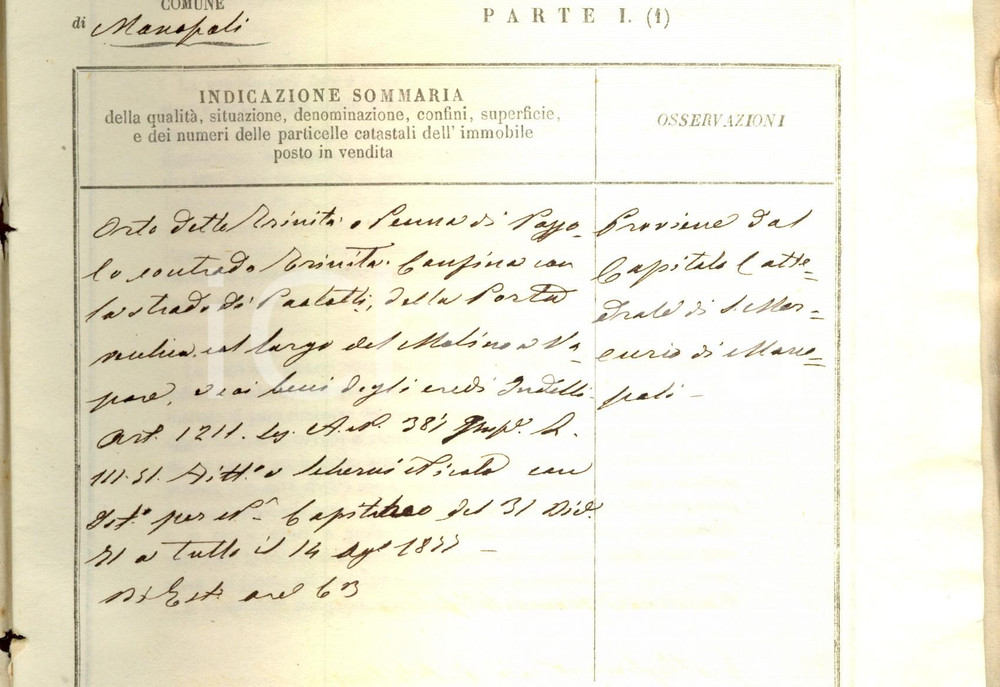 Documento originale, autentico 1874 MONOPOLI (BA) Giambattista GIANNACCARO acquista orto detto TRINITA' 1