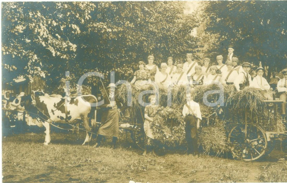 Fotografia d epoca originale 1922 RODERLAND D Rurali alla mietitura del grano a HAIDA Fotocartolina 1