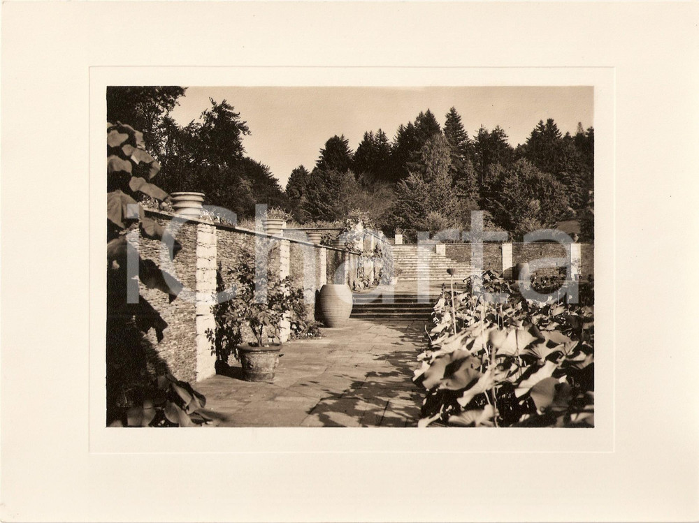 Fotografia d epoca originale 1940 VERBANIA INTRA Villa TARANTO Giardino botanico Fiori di loto Foto AUTENTICA 1