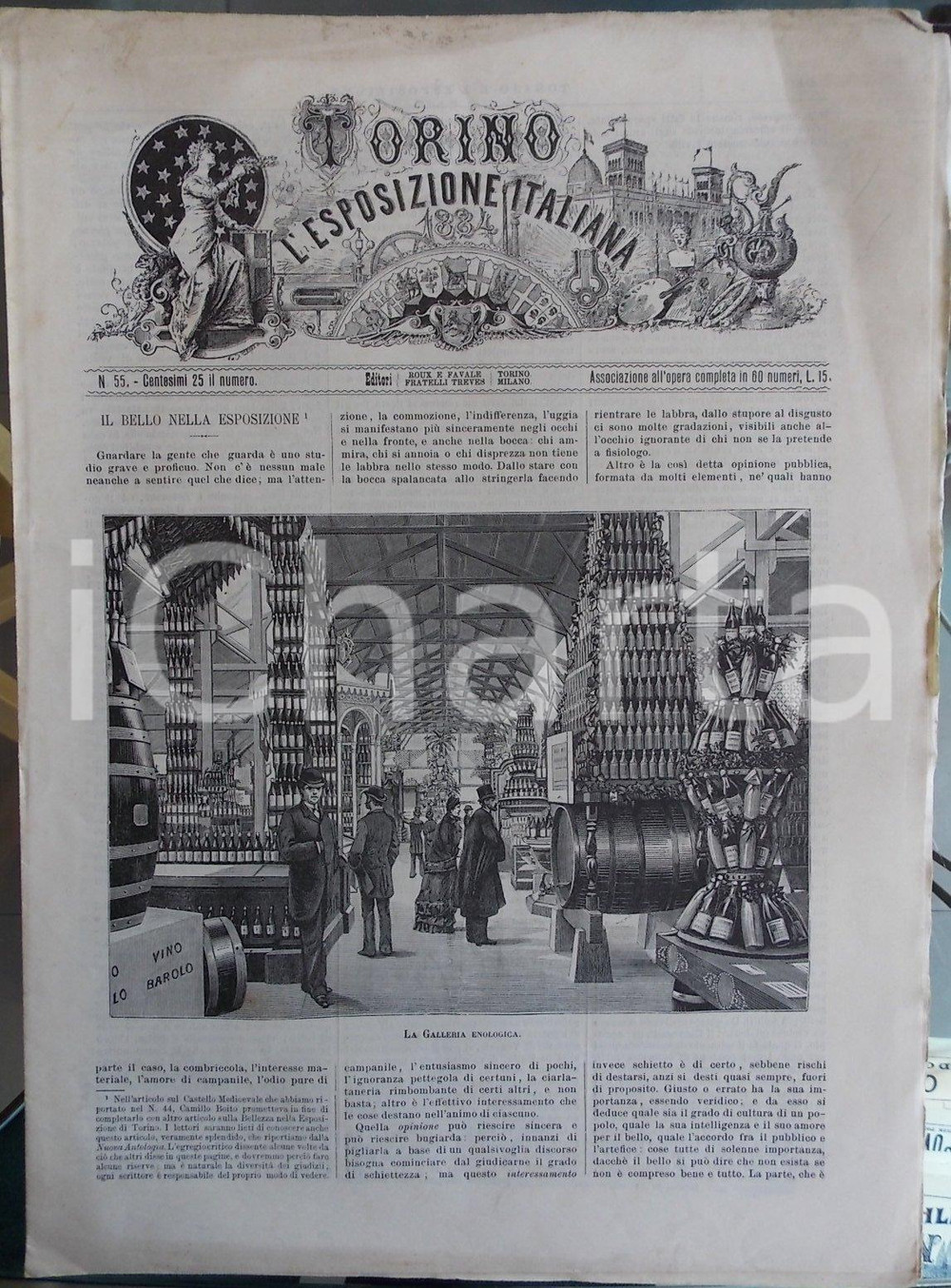 Giornale, rivista storica 1884 TORINO E L ESPOSIZIONE ITALIANA n° 55 La bellezza nell Esposizione 1