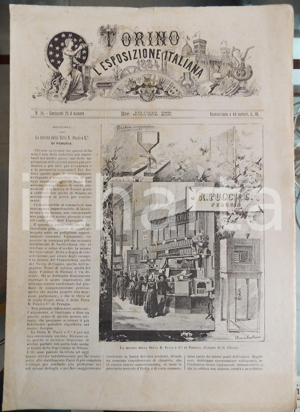 Giornale, rivista storica 1884 TORINO E L ESPOSIZIONE ITALIANA n° 36  Ditta PUCCI di Perugia Rivista 1