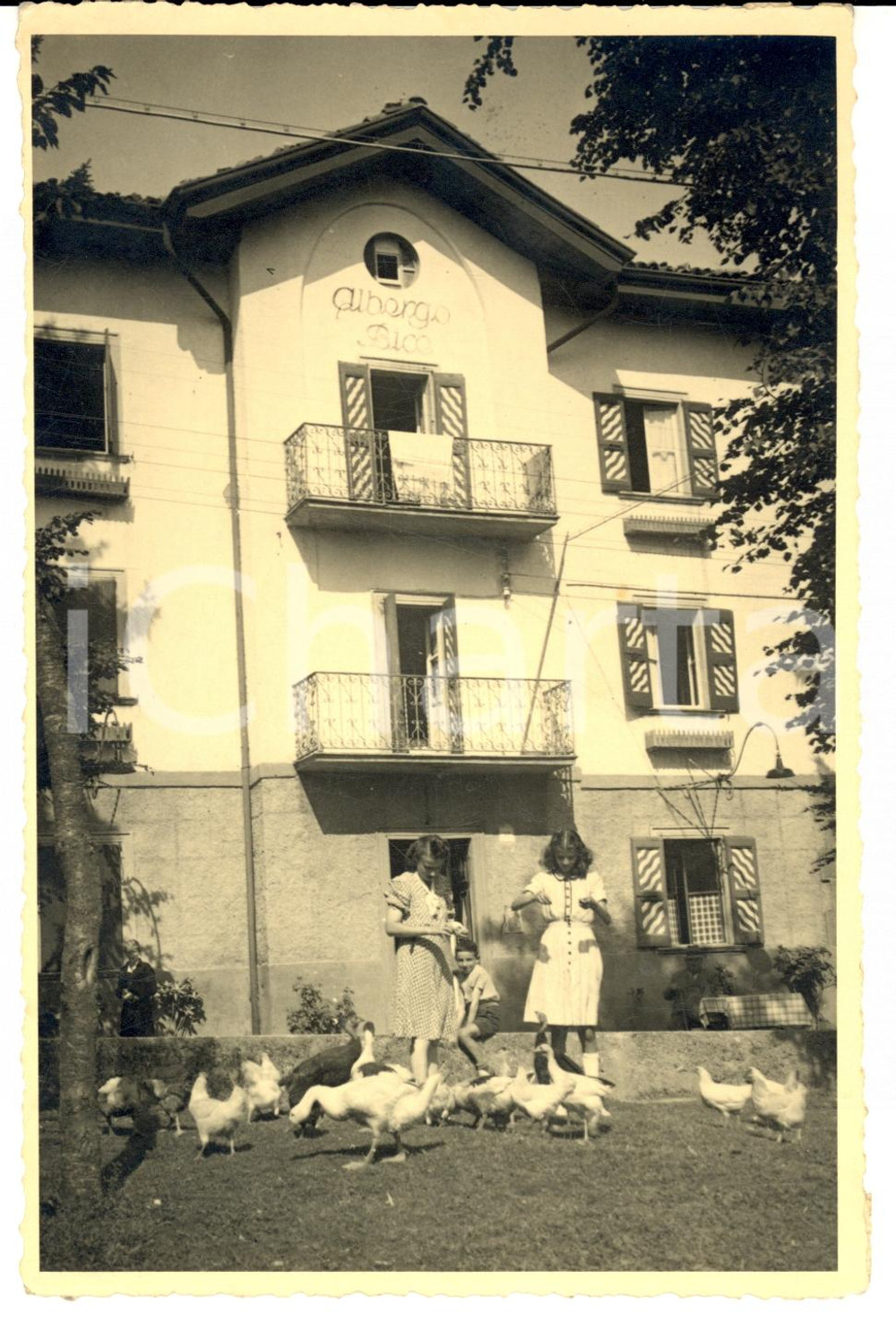 Fotografia d epoca originale 1940 ca ABBIATEGRASSO MI Albergo BICE con bambine che nutrono le oche Foto 1