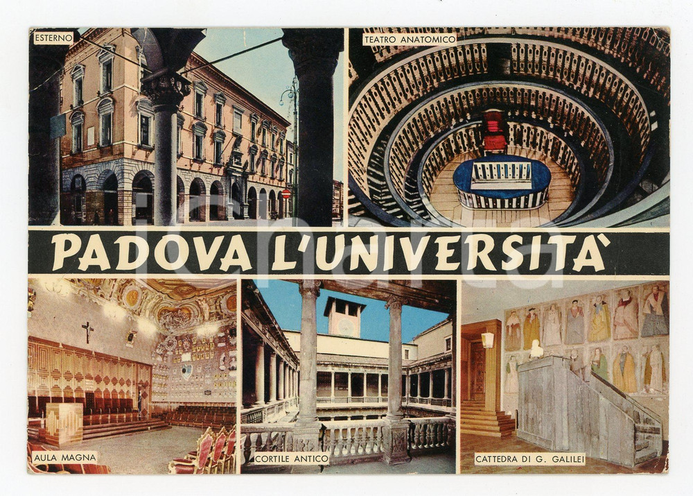 Cartolina originale da collezione 1974 PADOVA Università  Vedutine e Teatro anatomico *Cartolina postale FG VG 1