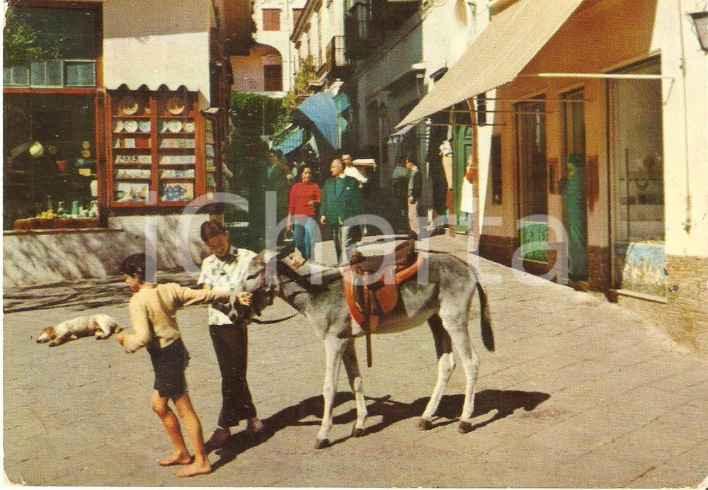 Cartolina originale da collezione 1958 NAPOLI (NA) Scugnizzi trascinano asino per la piazza *Cartolina FG VG 1