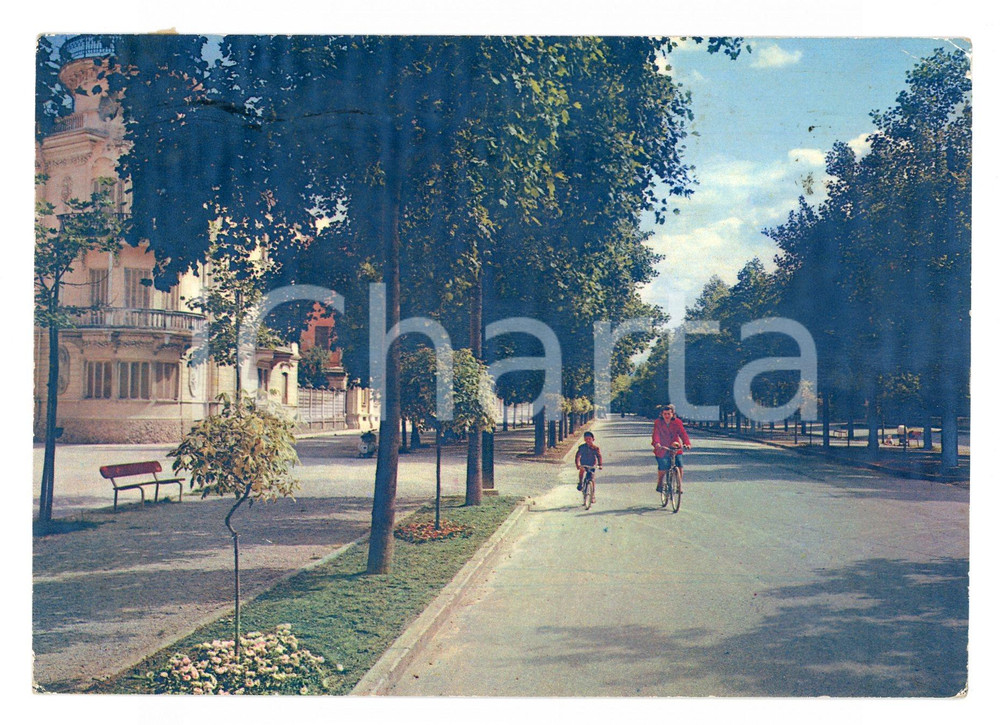 Cartolina originale da collezione 1965 CUNEO Bambini in bicicletta in Viale ANGELI ANIMATA *Cartolina DANNEGGIATA 1