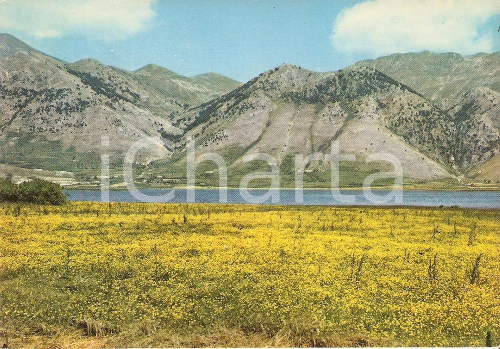 Cartolina originale da collezione 1970 APPENNINO SANNITA Massiccio del MATESE e lago Cartolina FG VG 1