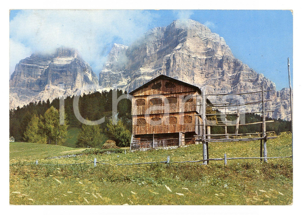 Cartolina originale da collezione 1968 ZOLDO ALTO (BL) DOLOMITI Rustico verso il PELMO *Cartolina postale FG VG 1