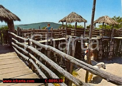 Cartolina originale da collezione 1970 ca PERUGIA Città della Domenica SPAGNOLIA *Cartolina animata 1