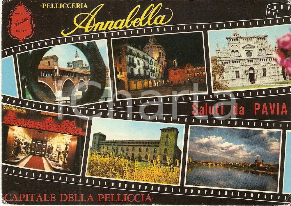 Cartolina originale da collezione 1975 ca PAVIA Pellicceria ANNABELLA Vedutine città VINTAGE Cartolina FG NV 1