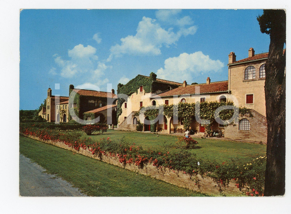 Cartolina originale da collezione 1976 CASTAGNETO CARDUCCI LI Borgo SAN GUIDO a BOLGHERI Cartolina VINTAGE FG VG 1