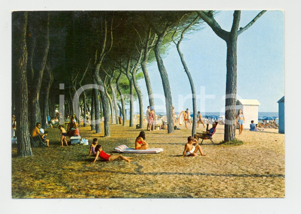 Cartolina originale da collezione 1978 PINETO (TE) La Pineta affollata di turisti *Cartolina VINTAGE ANIMATA FG VG 1
