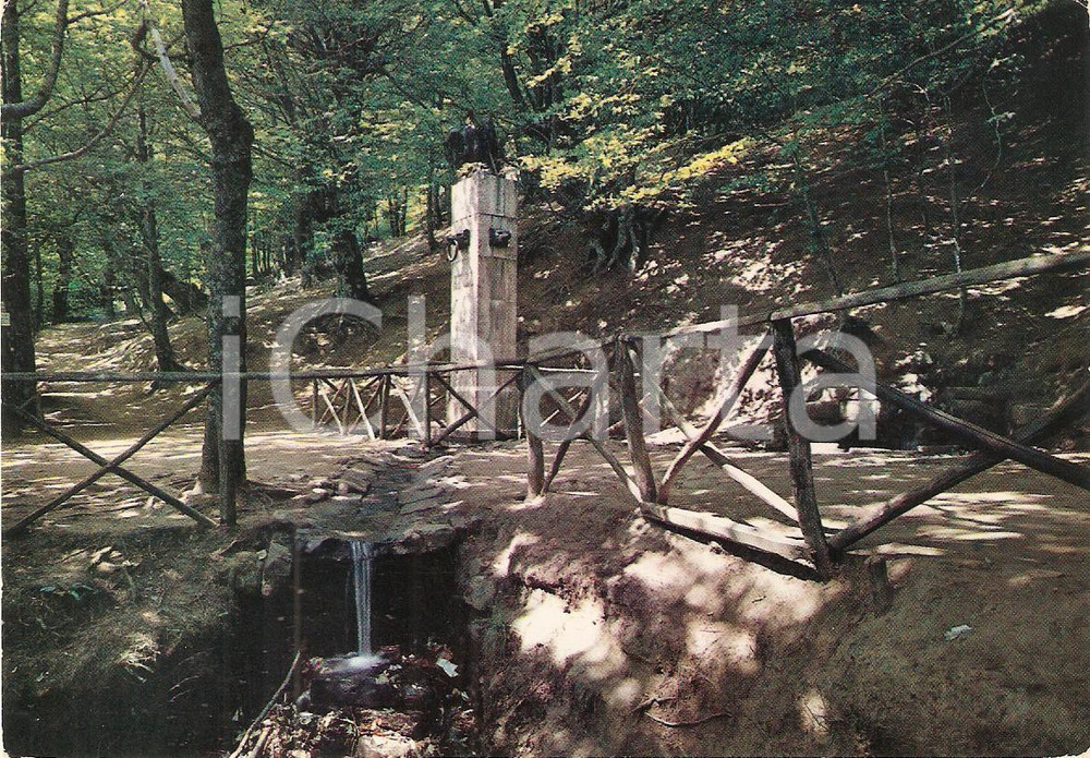 Cartolina originale da collezione 1964 VERGHERETO (FC) Monte FUMAIOLO Sorgenti del TEVERE *Cartolina FG VG 1