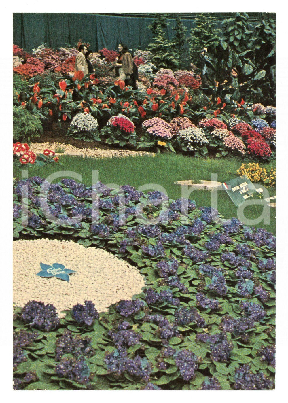 Cartolina originale da collezione 1976 GENOVA Aiuole alla Fiera 3 Edizione EUROFLORA Cartolina VINTAGE FG NV 1