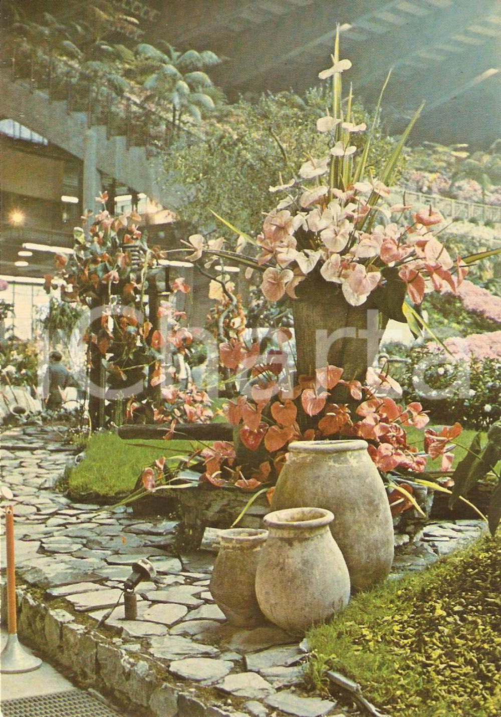 Cartolina originale da collezione 1976 GENOVA Fiera EUROFLORA Composizione di fiori con anfore *Cartolina FG NV 1