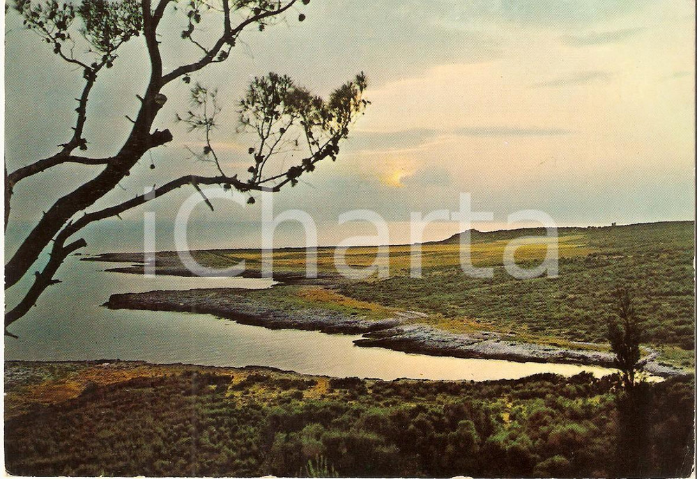 Cartolina originale da collezione 1980 ca NARDO  LE Tramonto al Portoselvaggio Cartolina FG NV 1