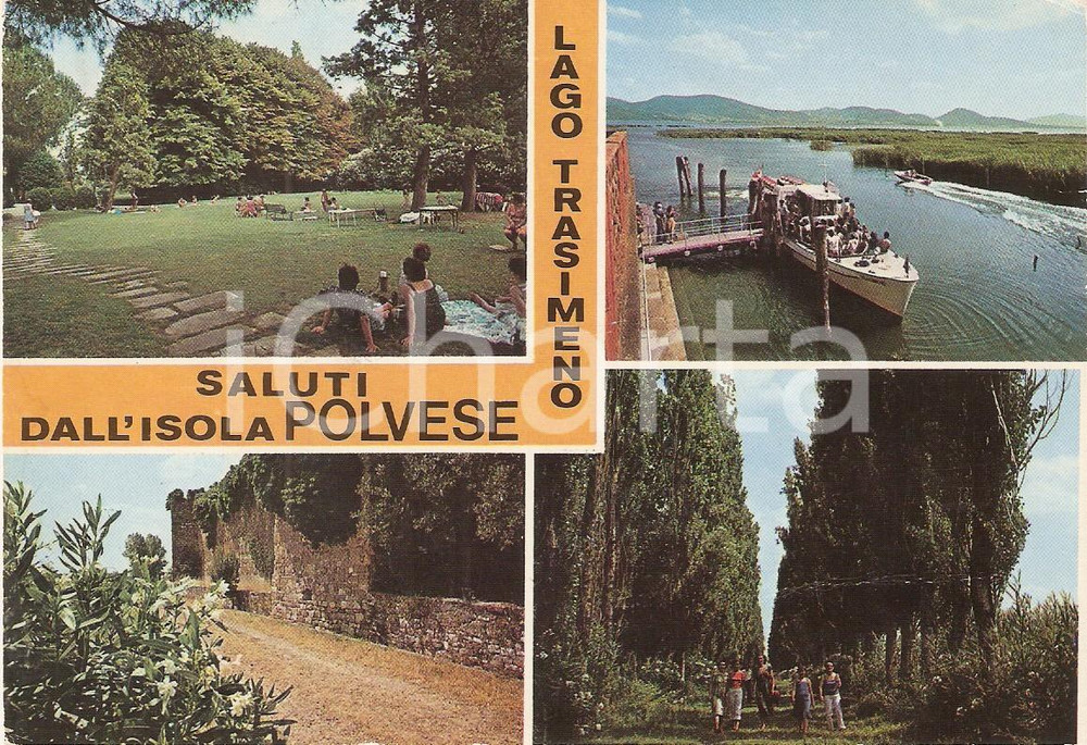 Cartolina originale da collezione 1987 ISOLA POLVESE PG Vedutine del Lago Trasimeno Cartolina FG VG 1