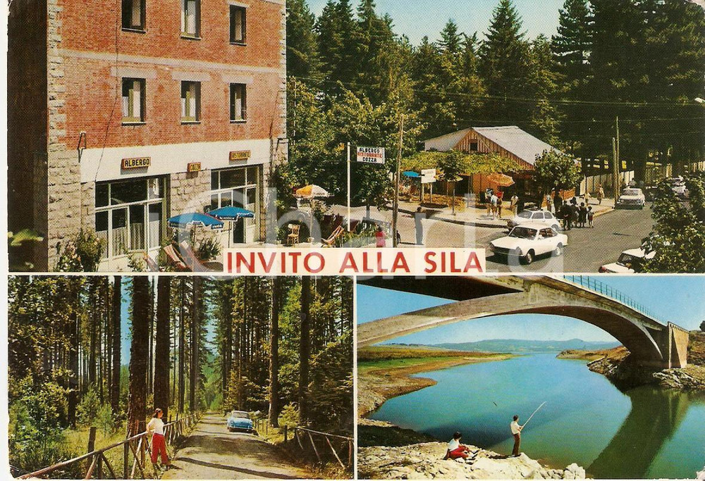 Cartolina originale da collezione 1970 ca SILA CS Albergo Ristorante Cozza e pescatore sotto ponte Cartolina FG 1