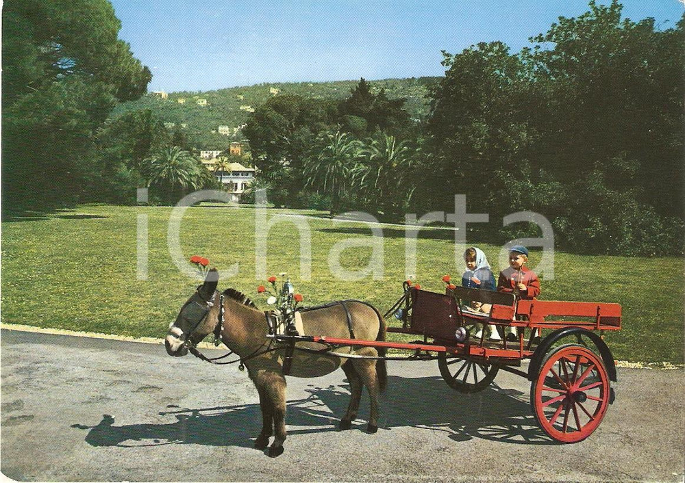 Cartolina originale da collezione 1970 ca GENOVA NERVI Parco Pipetto asinello e carretto Cartolina VINTAGE FG NV 1