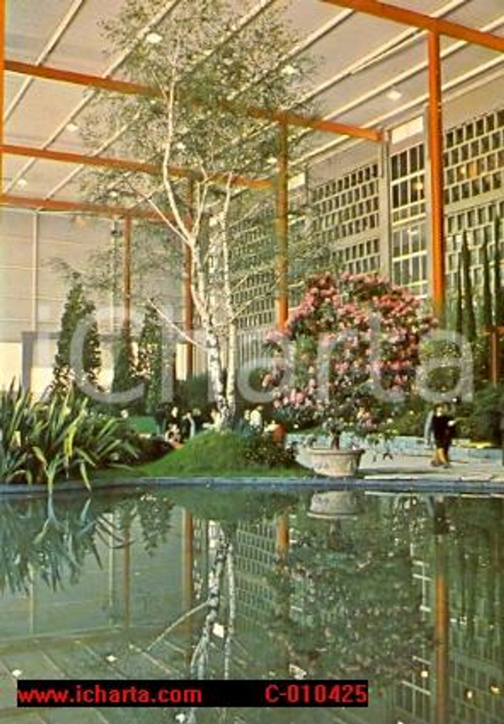 Cartolina originale da collezione 1976 GENOVA Fiera EUROFLORA Esposizione fiori Betulla ANIMATA *Cartolina 3 1