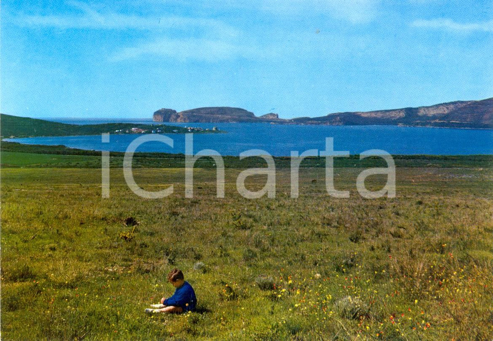 Cartolina originale da collezione 1980 ca ALGHERO (SS) Golfo di Porto CONTE Capo CACCIA *Cartolina ANIMATA FG NV 1