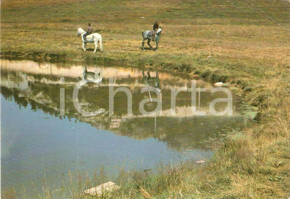 Cartolina originale da collezione 1975 ca PRATO NEVOSO (CN) Laghetto e maneggio *Cartolina FG VG 1