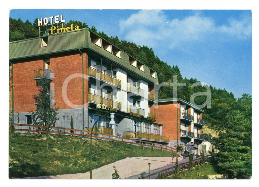 Cartolina originale da collezione 1970 ca LOIANO BO Hotel PINETA Fratelli CALZOLARI Cartolina postale FG NV 1