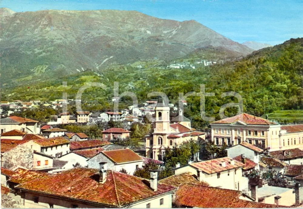 Cartolina originale da collezione 1966 ARTEGNA UDINE Panorama con MONTENARS Cartolina VINTAGE FG VG 1