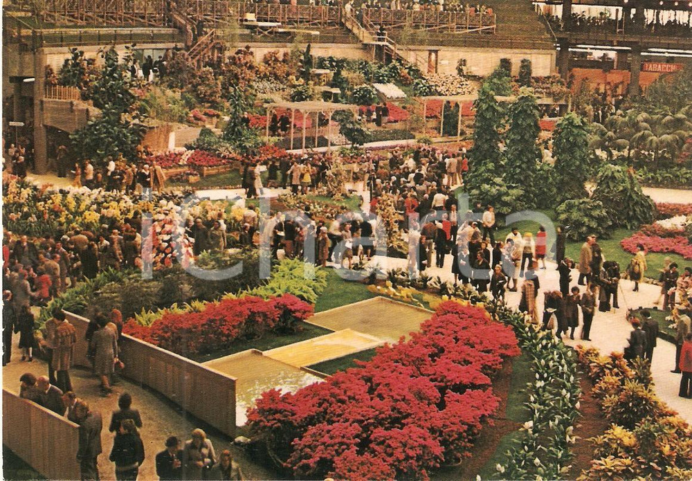 Cartolina originale da collezione 1981 GENOVA Fiera EUROFLORA Visitatori tra allestimenti floreali Cartolina FG NV 1