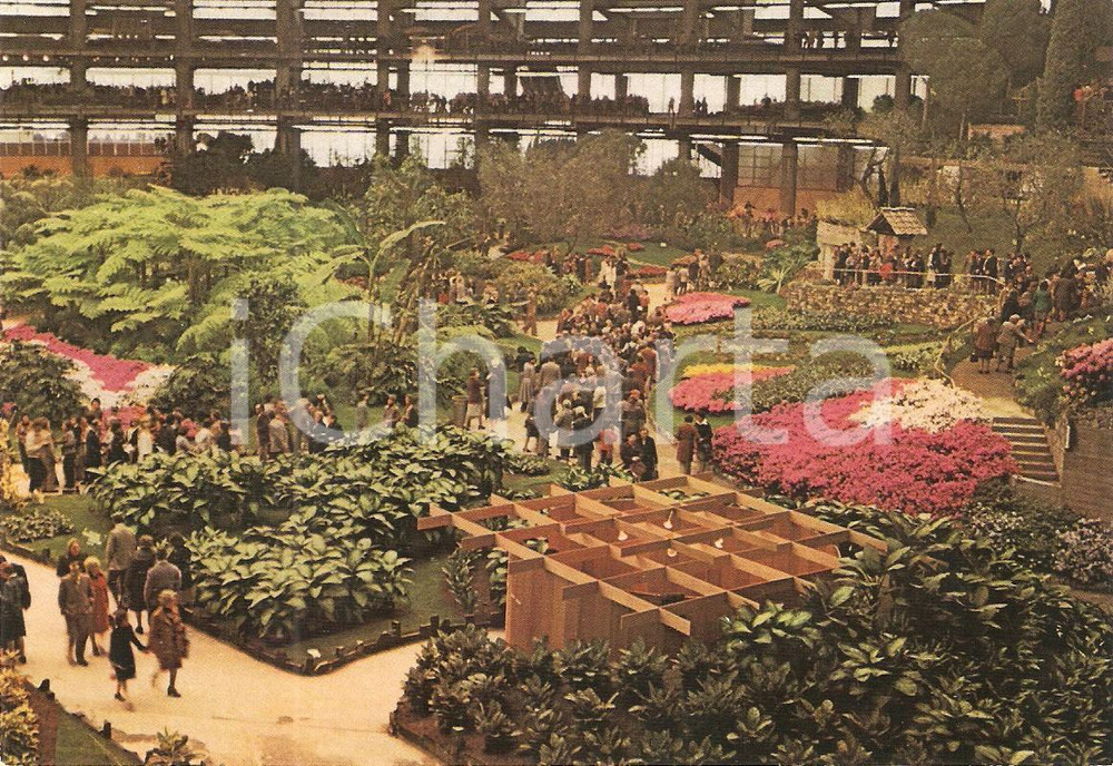 Cartolina originale da collezione 1981 GENOVA Fiera EUROFLORA Visitatori tra allestimenti floreali Cartolina FG 1