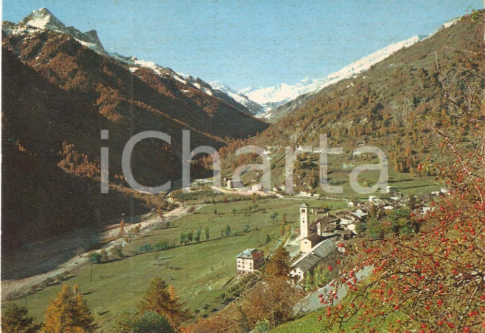 Cartolina originale da collezione 1963 CASTELDELFINO CN Panorama del paese  Valle Varaita Cartolina FG VG 1