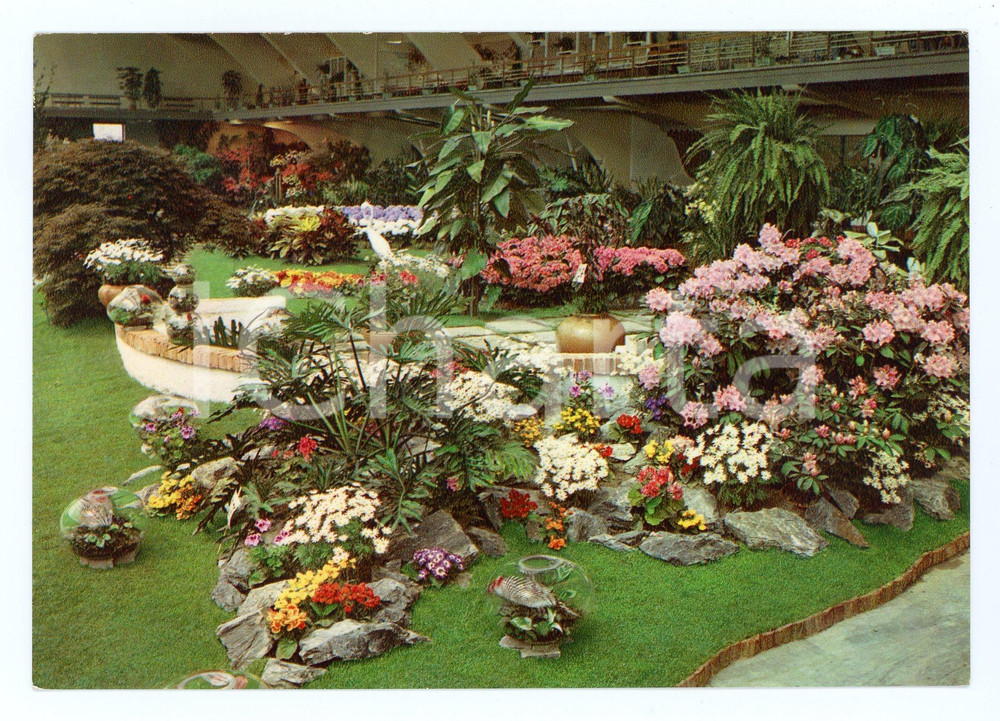 Cartolina originale da collezione 1961 TORINO Esposizione Internazionale FIORI DEL MONDO Cartolina VINTAGE FG NV 1