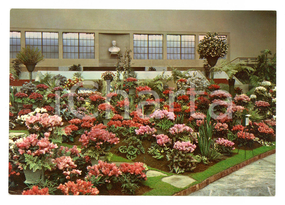 Cartolina originale da collezione 1961 TORINO Esposizione Internazionale FIORI DEL MONDO Cartolina VINTAGE FG NV 1