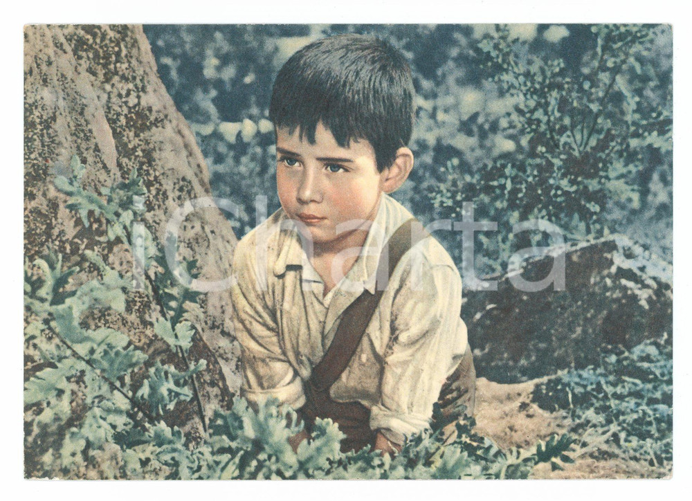Cartolina originale da collezione 1955 ca MARCELLINO PANE E VINO Foto di scena Cartolina pubblicitaria FG NV 1