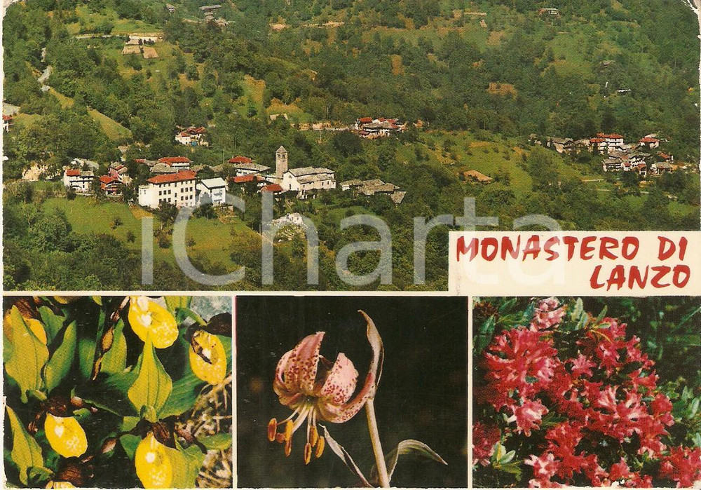 Cartolina originale da collezione 1983 MONASTERO DI LANZO TO Vedutine con fiori Cartolina FG 1