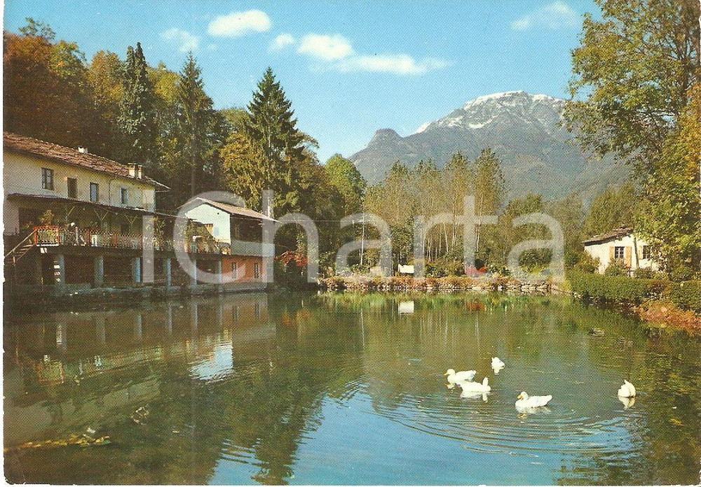 Cartolina originale da collezione 1969 VAL PELLICE TO Laghetto Blancio e Monte Vandalino Cartolina FG VG 1