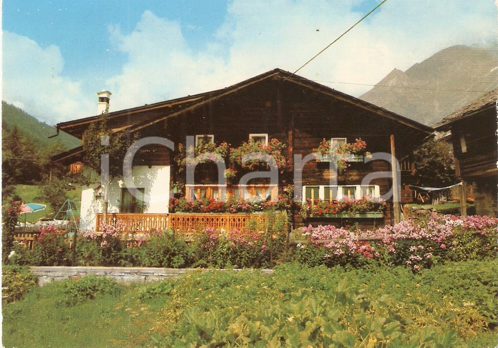 Cartolina originale da collezione 1960 ca MACIGNAGA NO Baita fiorita alla Frazione ISELLA Cartolina FG VG 1